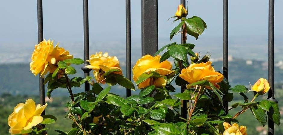 Villa Dei Fantasmi ร็อกกา ดิ ปาปา ภายนอก รูปภาพ